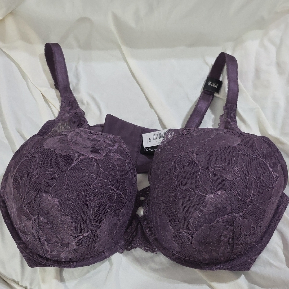 XO Plunge Push-Up Bra - Picture 3 of 10